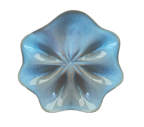 Half Dozen Oyster Plate - Blue Wash