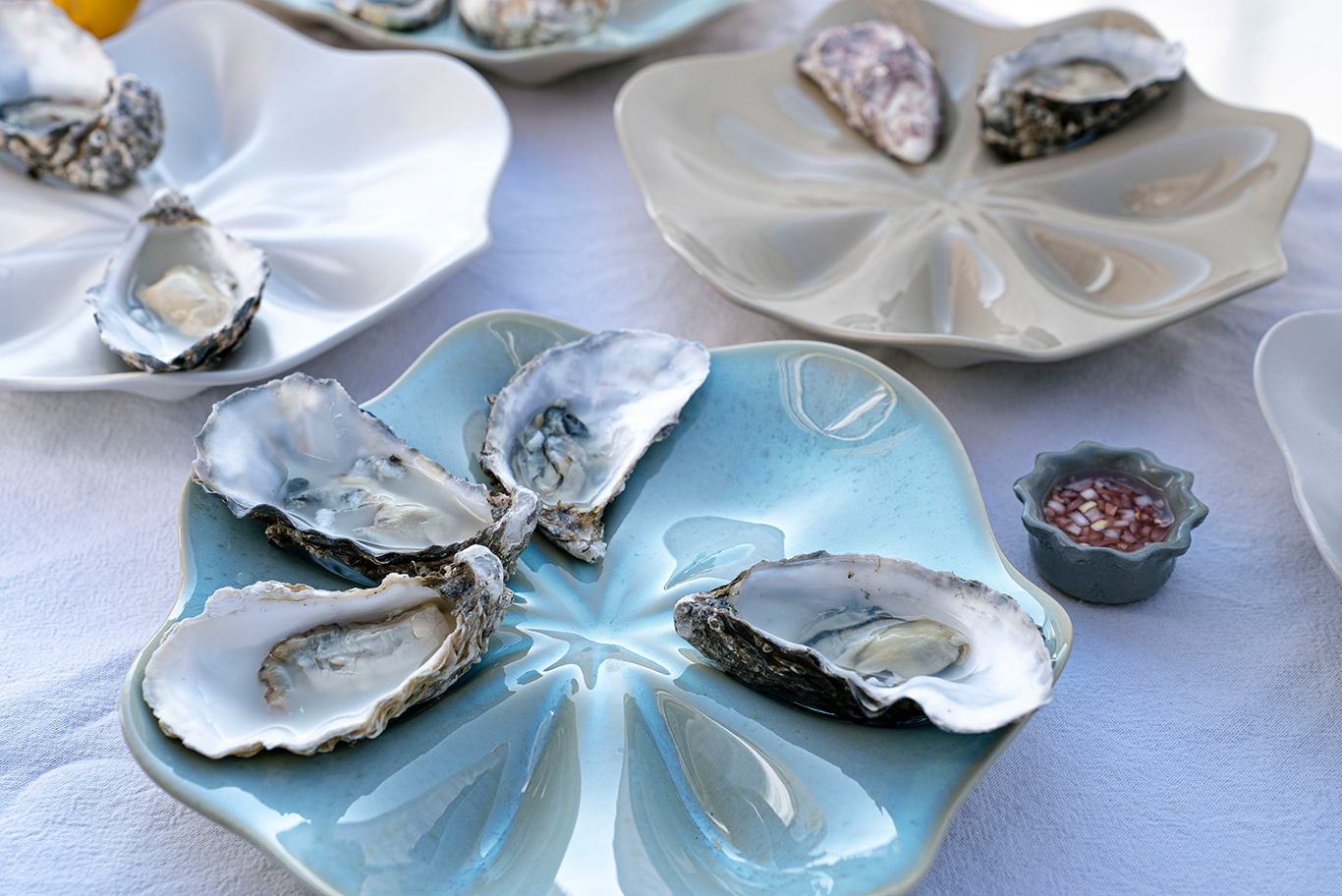 Half Dozen Oyster Plate - Blue Wash