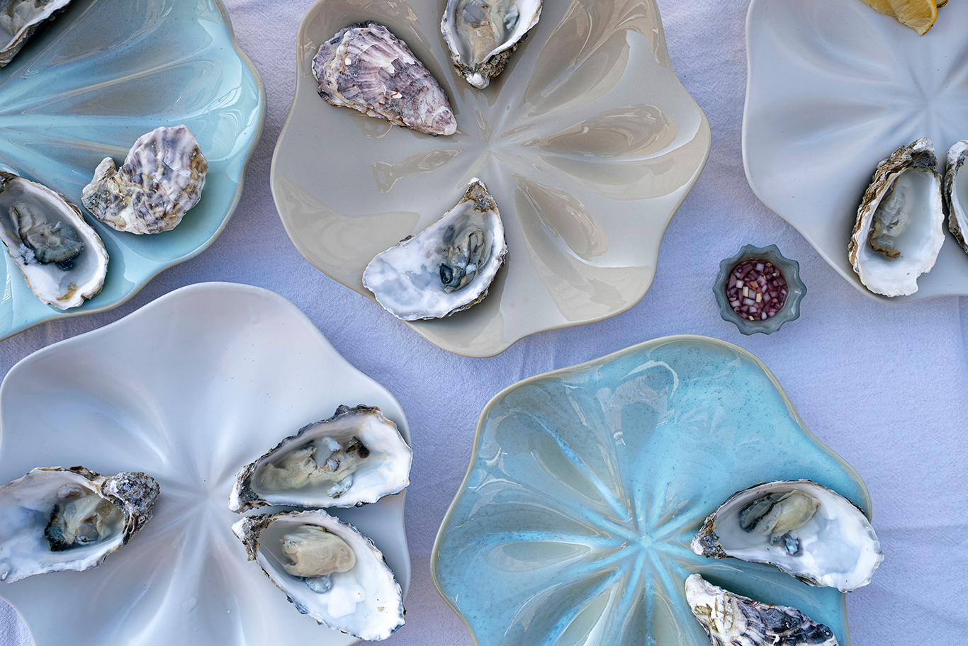 Half Dozen Oyster Plate - Blue Wash