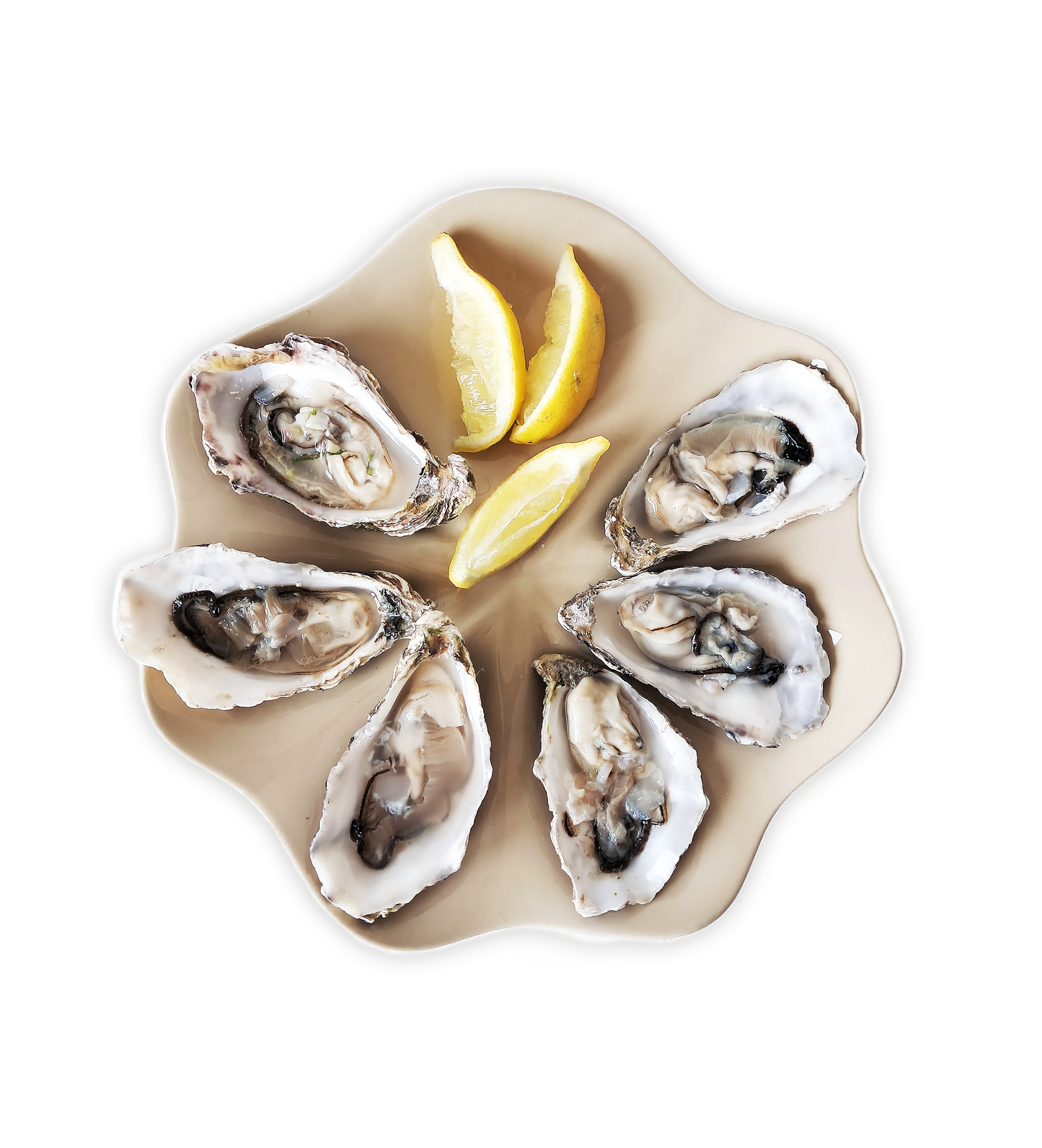 oyster plate, oysters, clear gloss, lemons, natural