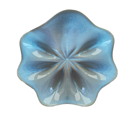 Half Dozen Oyster Plate - Blue Wash