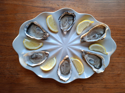 Dozen Oyster Plate - Satin White