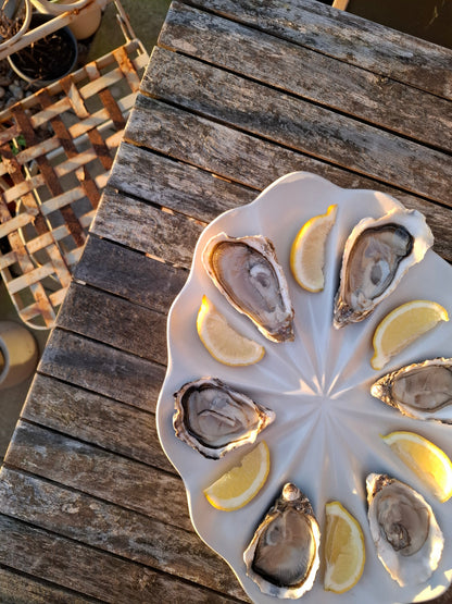 Dozen Oyster Plate - Satin White