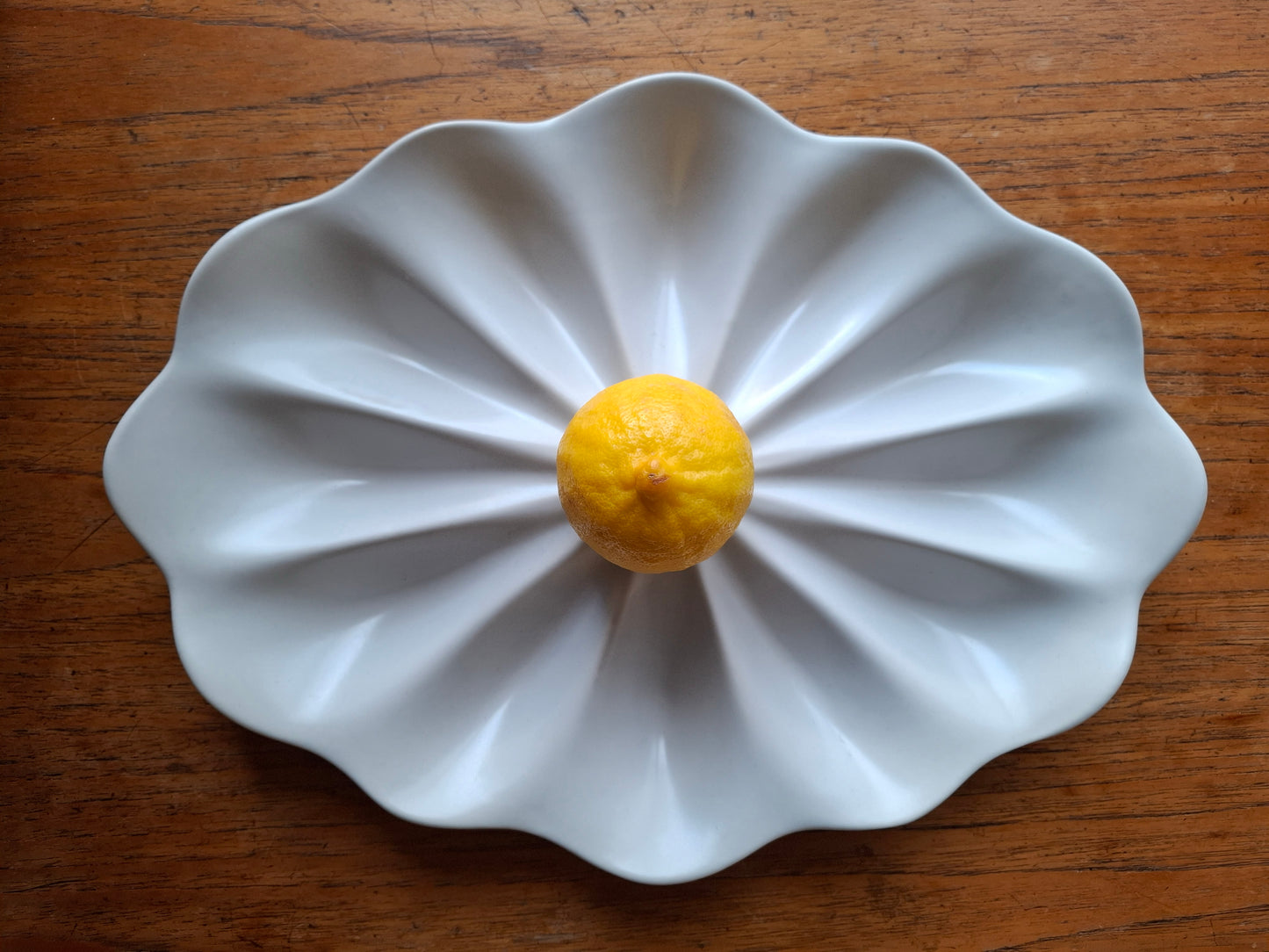 Dozen Oyster Plate - Satin White