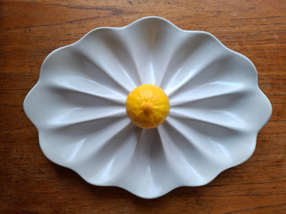 Dozen Oyster Plate - Satin White