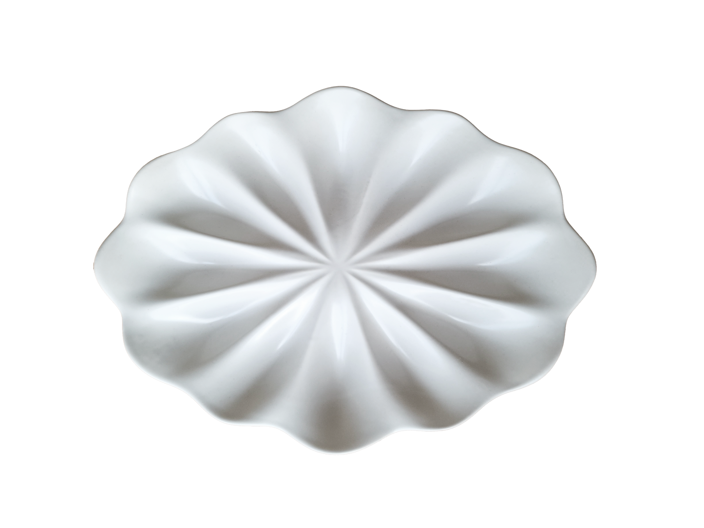 Dozen Oyster Plate - Satin White